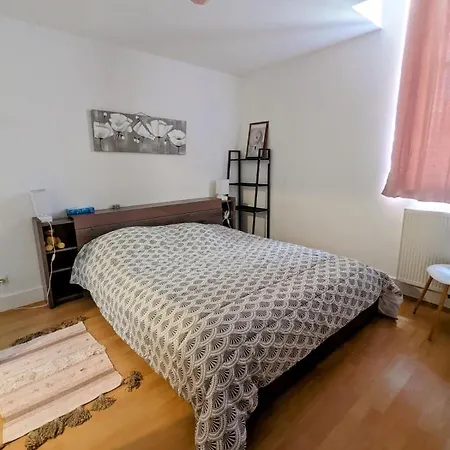 Lägenhet 3 Chambres,120 M2 Au Calme Et En !!! Auch